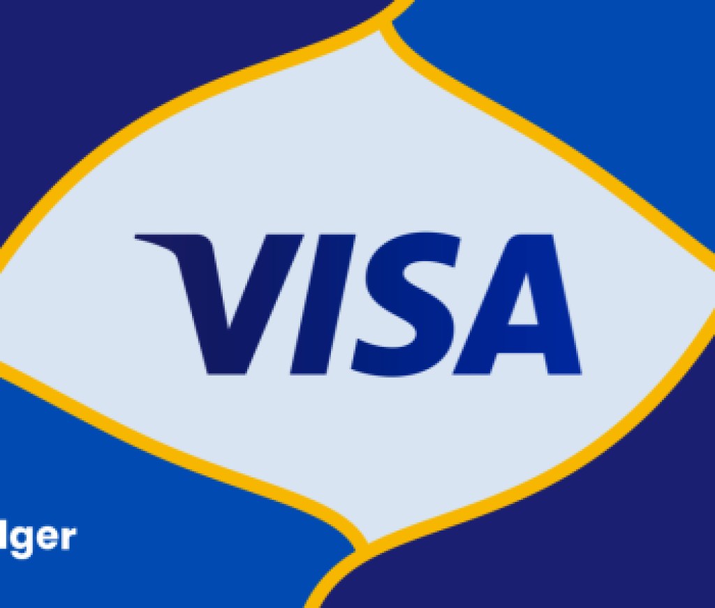 FinLedger_Visa